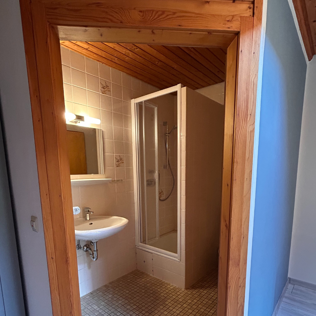 Badezimmer der Ferienwohnung 1 im Lindenhof Worblingen mit Dusche und Waschbecken