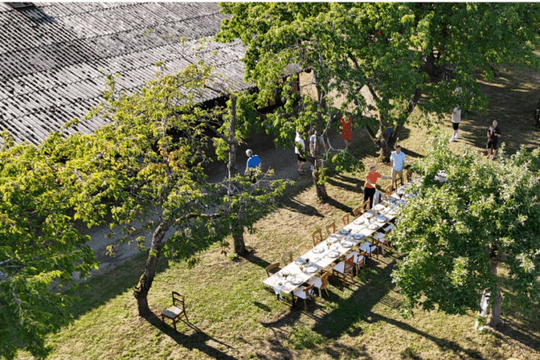 estlich gedeckter Tisch im Außenbereich des Lindenhof Worblingen – Eventlocation für Hochzeiten und Feiern im Grünen
